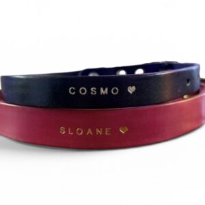 Custom Dog Collar