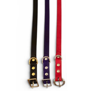 Small Dog Collars